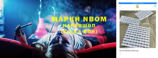 амф Бородино
