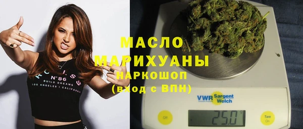 амф Бородино