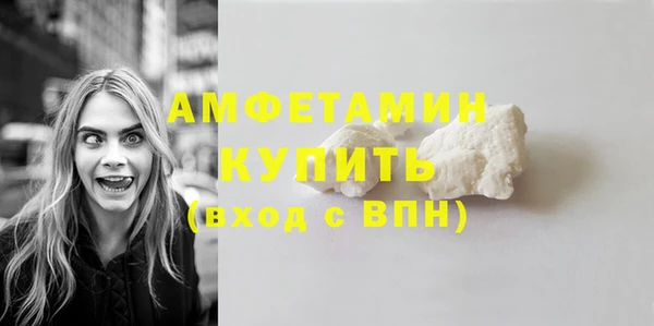 амф Бородино