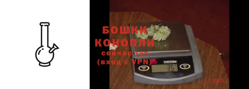 амф Бородино